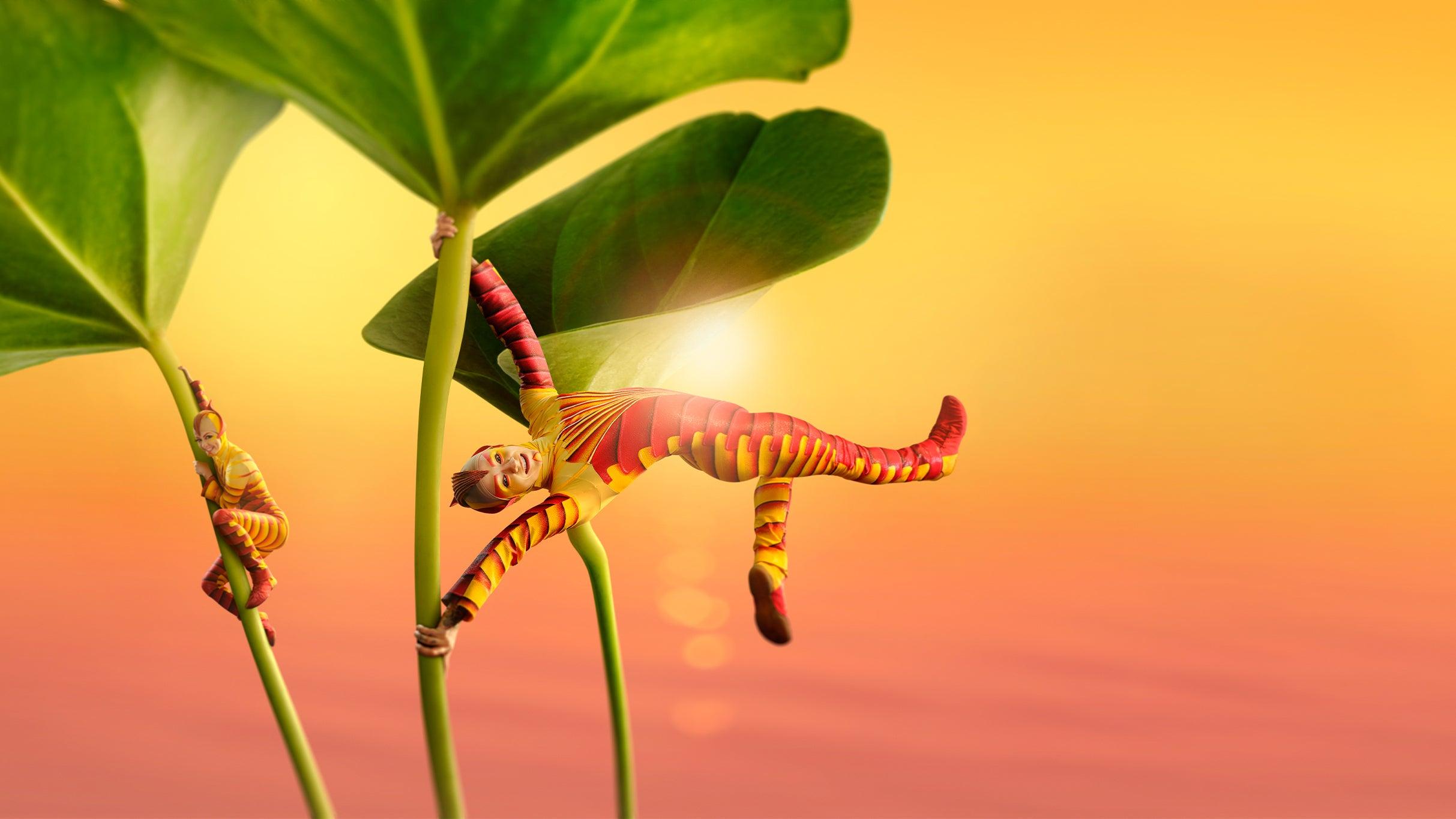 Cirque Du Soleil: Ovo