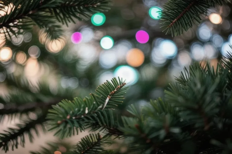 Join-Us In the Holidays - California Youth Centre