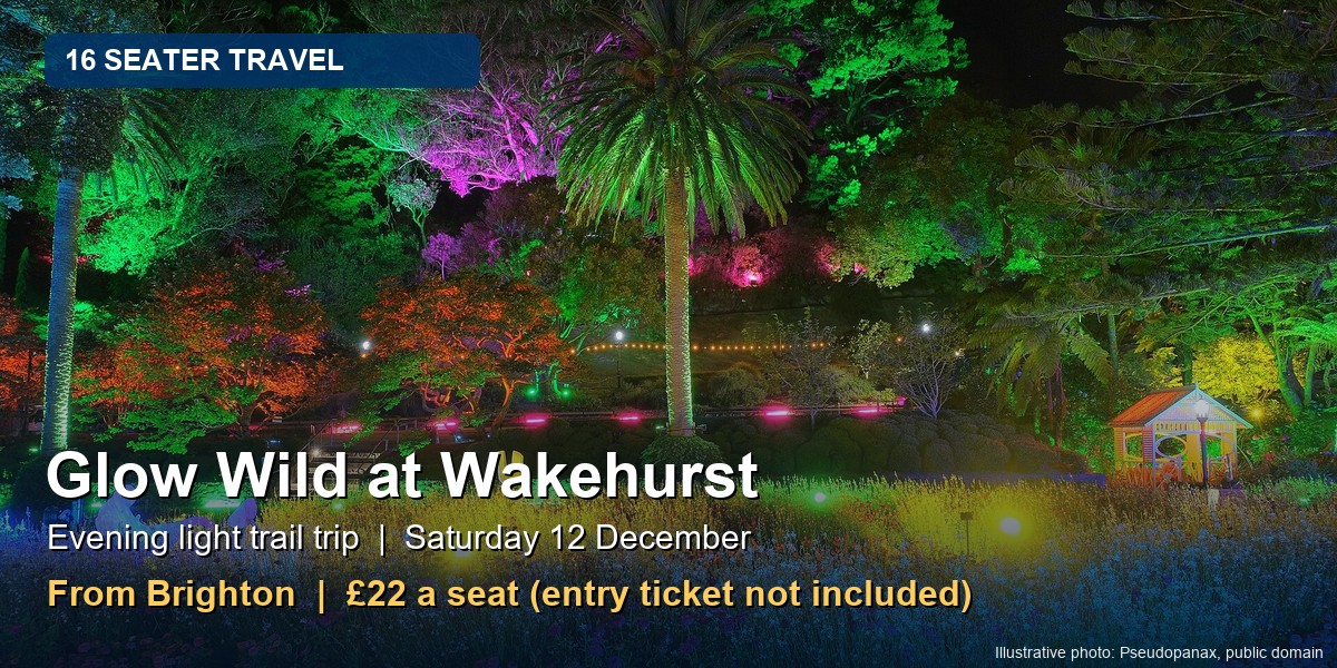 Glow Wild at Wakehurst - Evening Minibus from Brighton at Wakehurst (Glow Wild)
