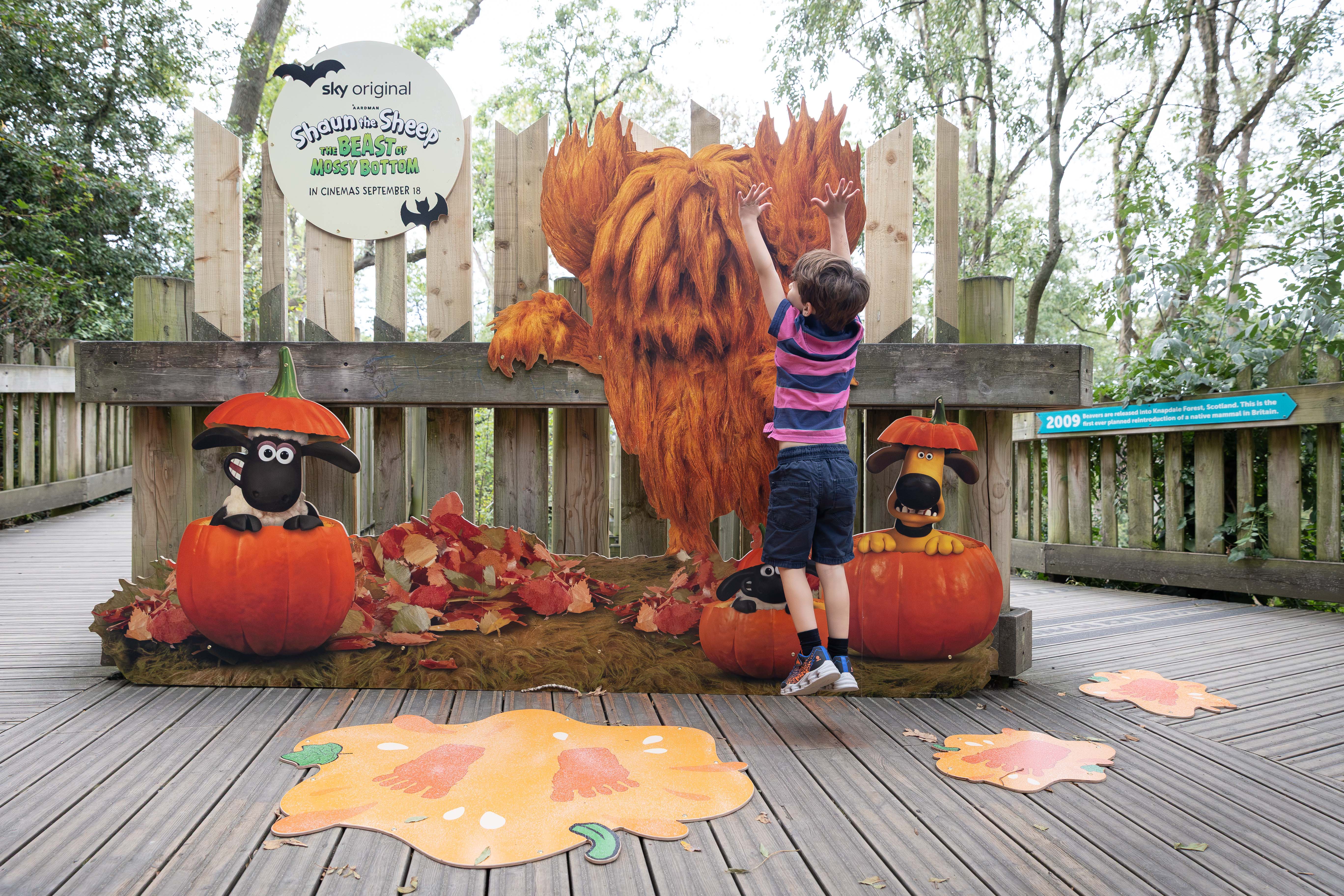 A Spooktacular Half Term at Bristol Zoo Project at Bristol Zoo Project