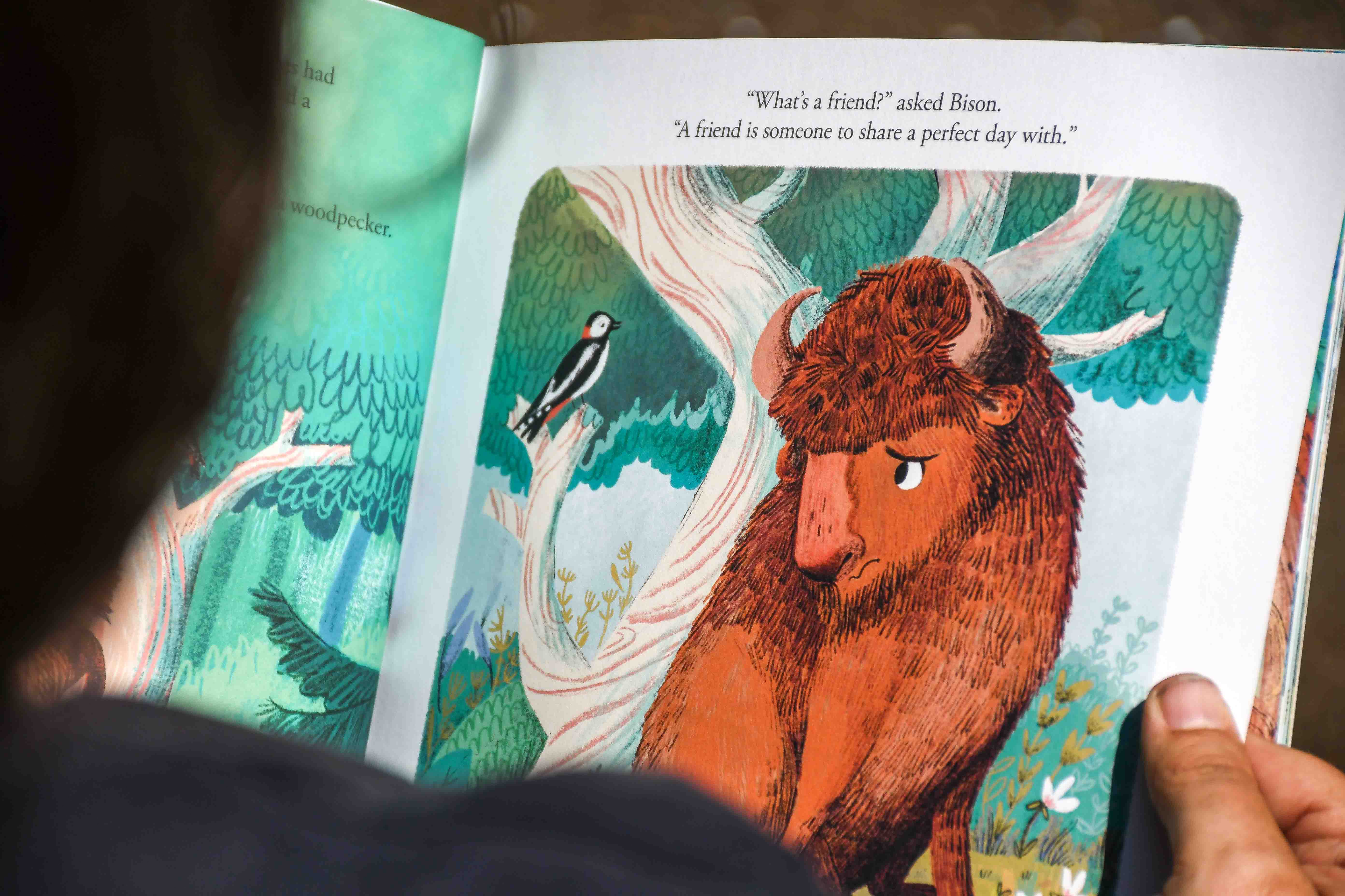 Christmas trail with The Bison and the Butterfly at Sevenoaks Wildlife Reserve