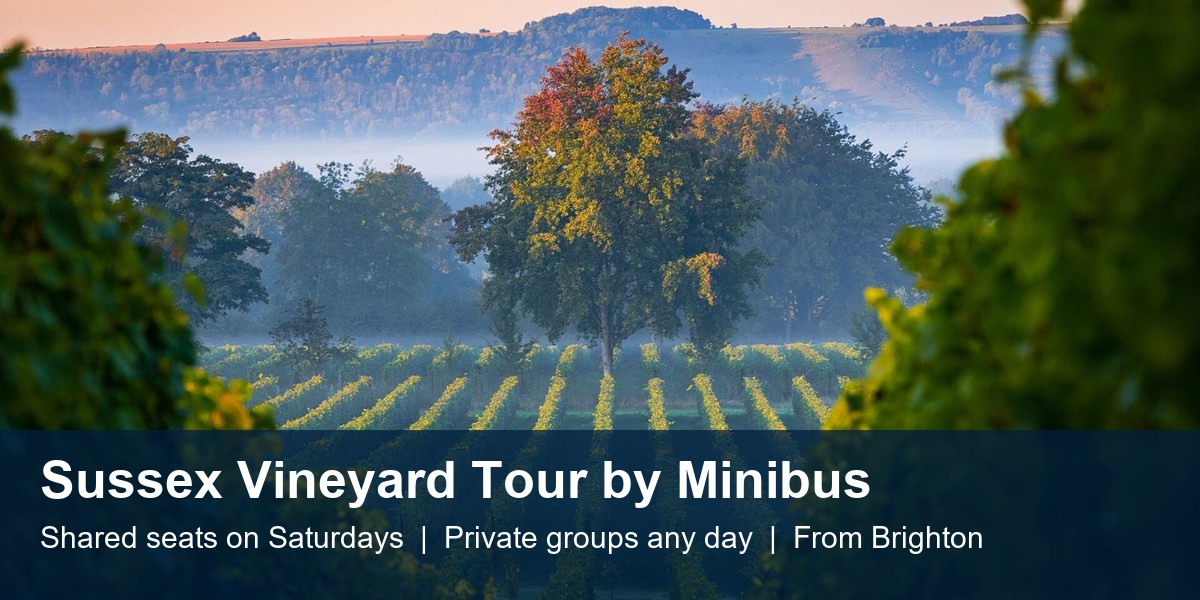Sussex Vineyard Tour by Minibus - Shared Seats on Saturdays at Sussex vineyards (e.g. Ridgeview, Wiston, Bolney)