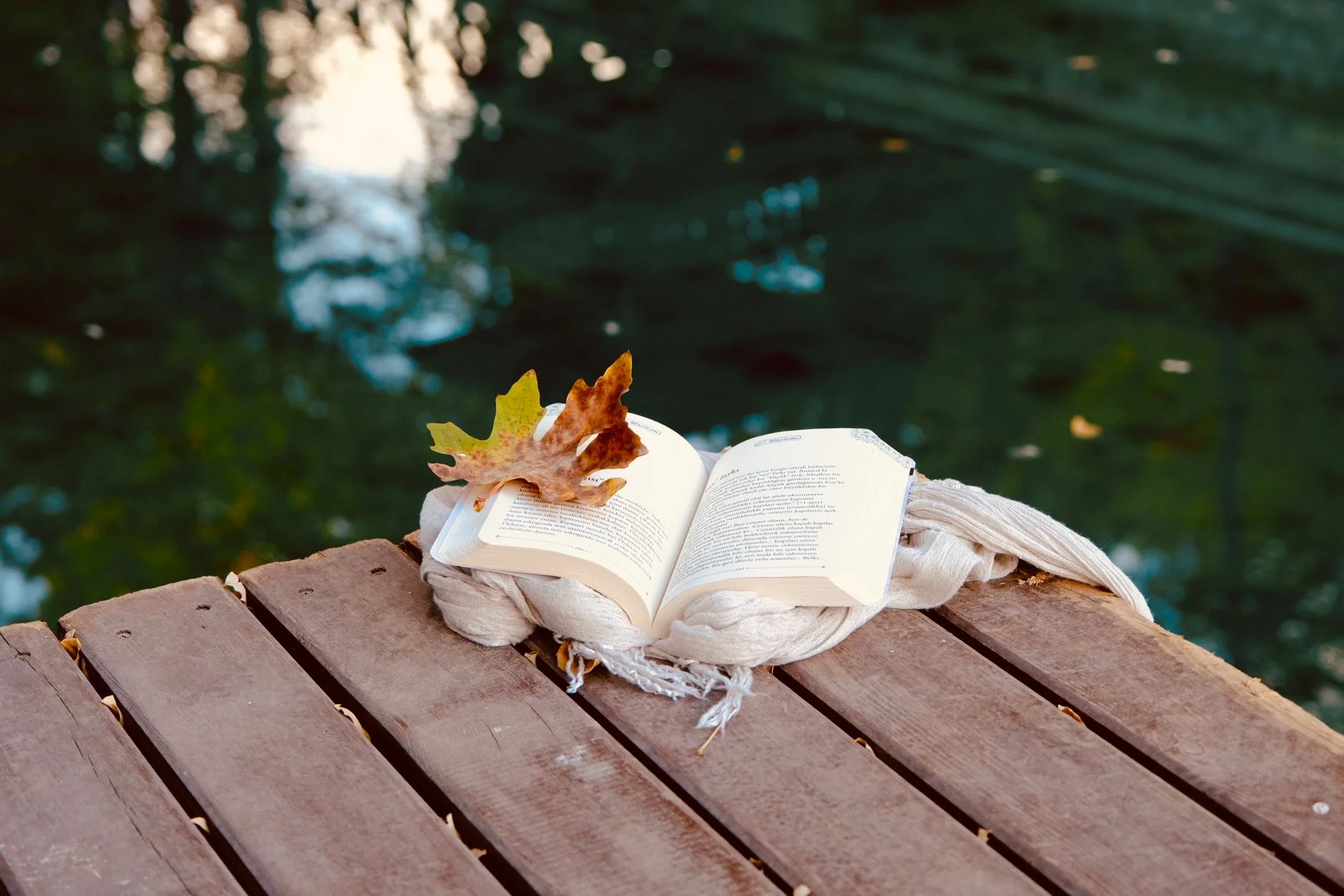 Bromsgrove Book Club October: The Hotel by Daisy Johnson 7pm session at No3a Social