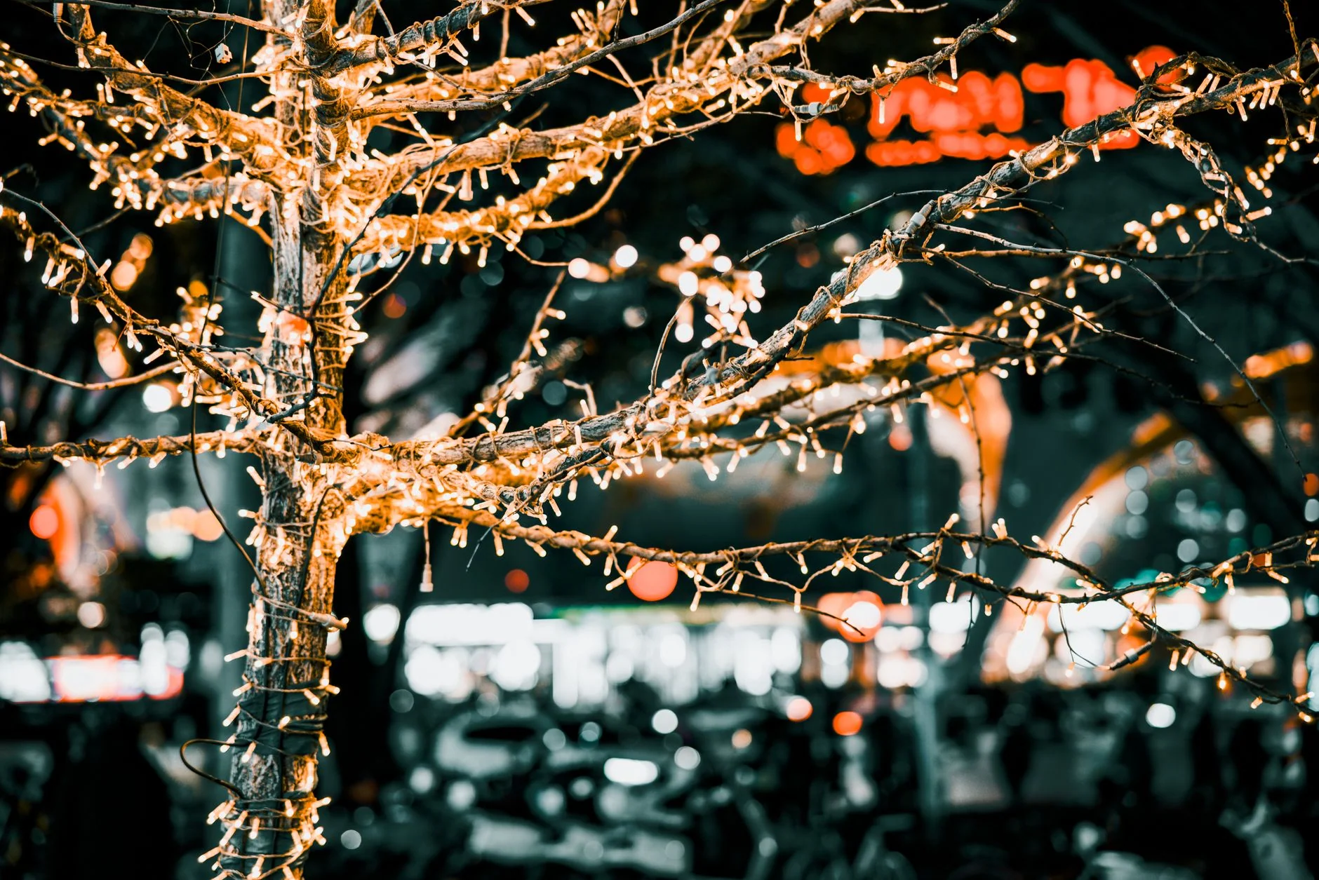An International Christmas with the Firebirds (Daria Kulesh & Marina Osman) at Kitchen Garden