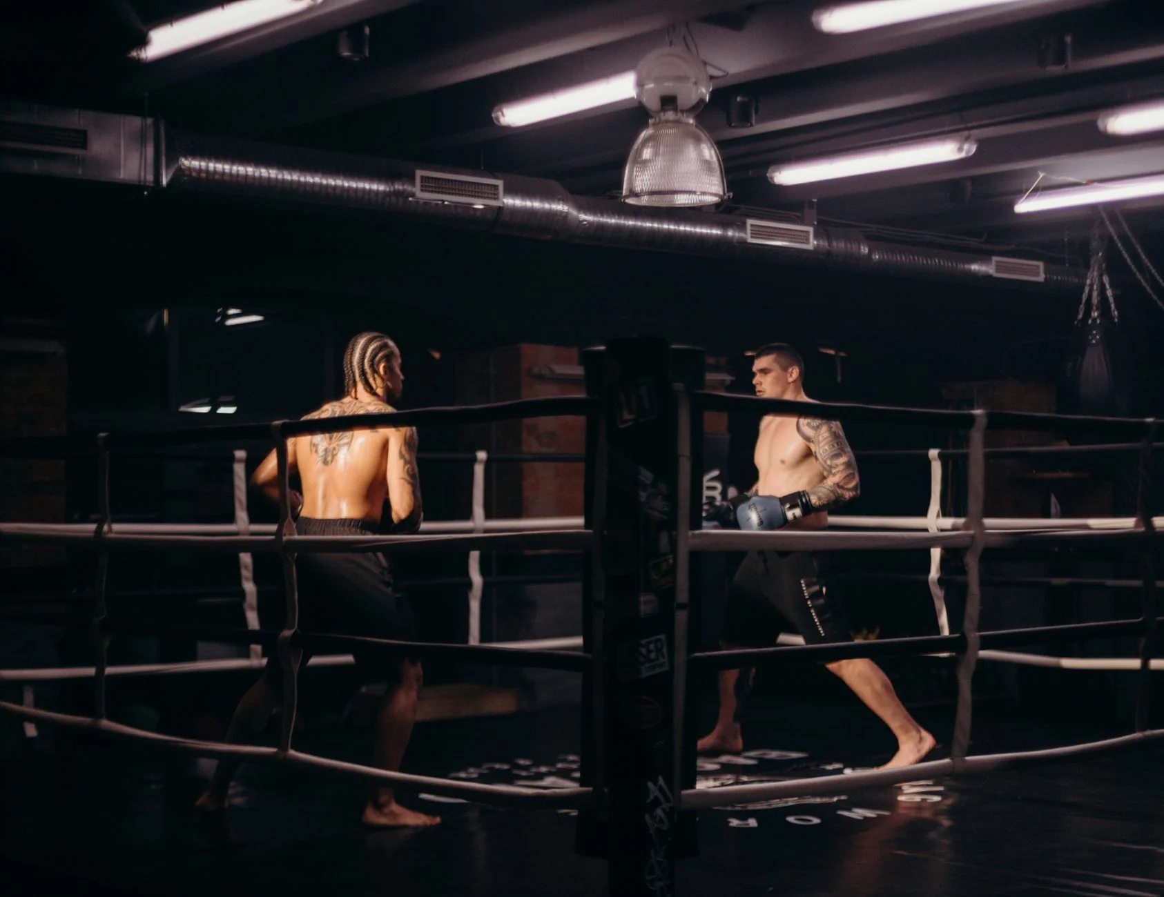 Ultra White Collar Boxing at The Fed, Lancastrian Suite - Newcastle upon Tyne at The Fed, Lancastrian Suite