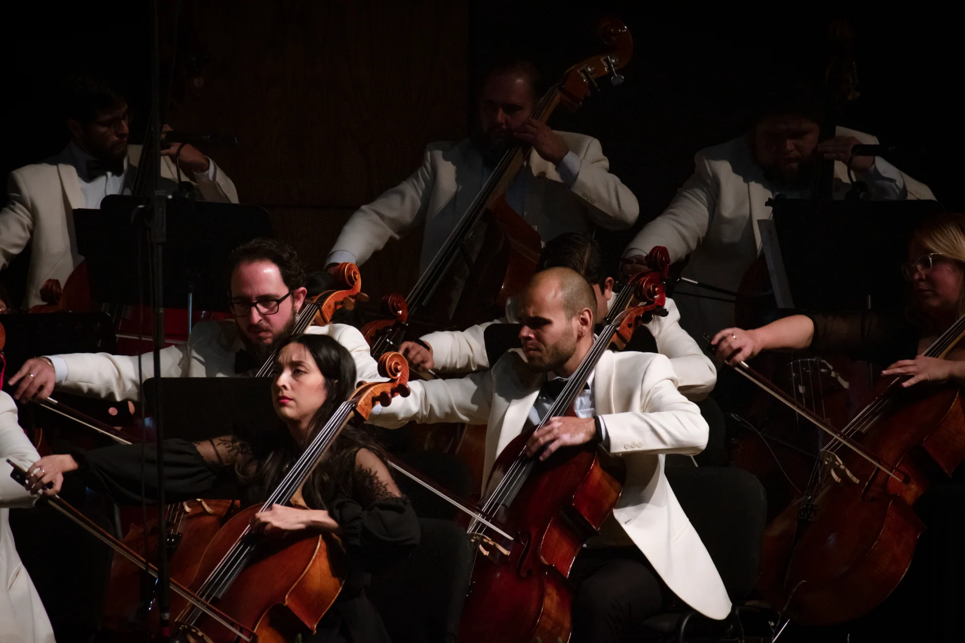 Down for the Count Swing Orchestra @ Perth Concert Hall at Perth Concert Hall