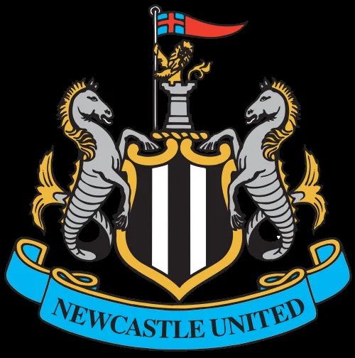 Newcastle United vs Hull City at St James Park