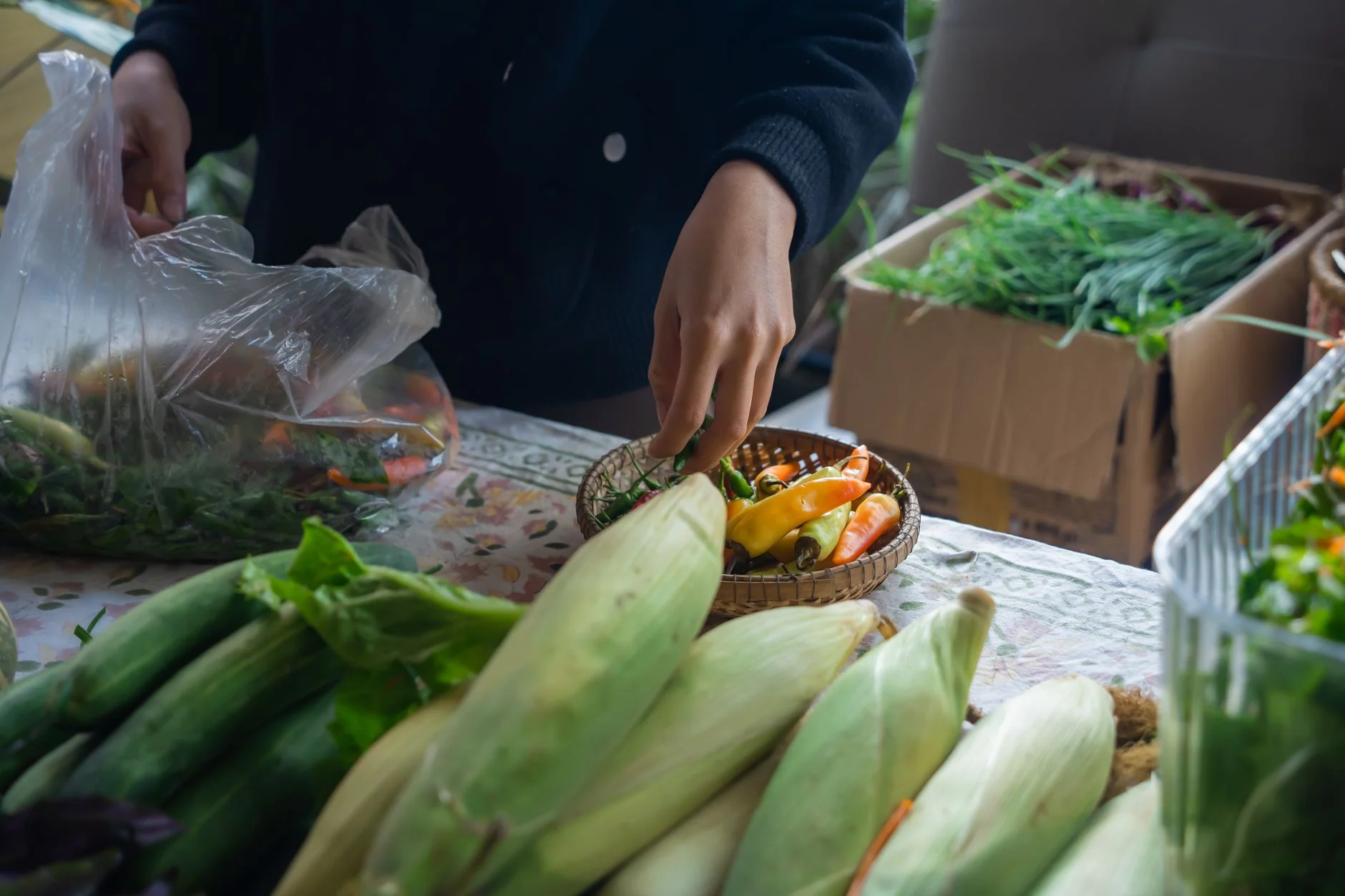 Farmers’ Market at The Gardeners' House