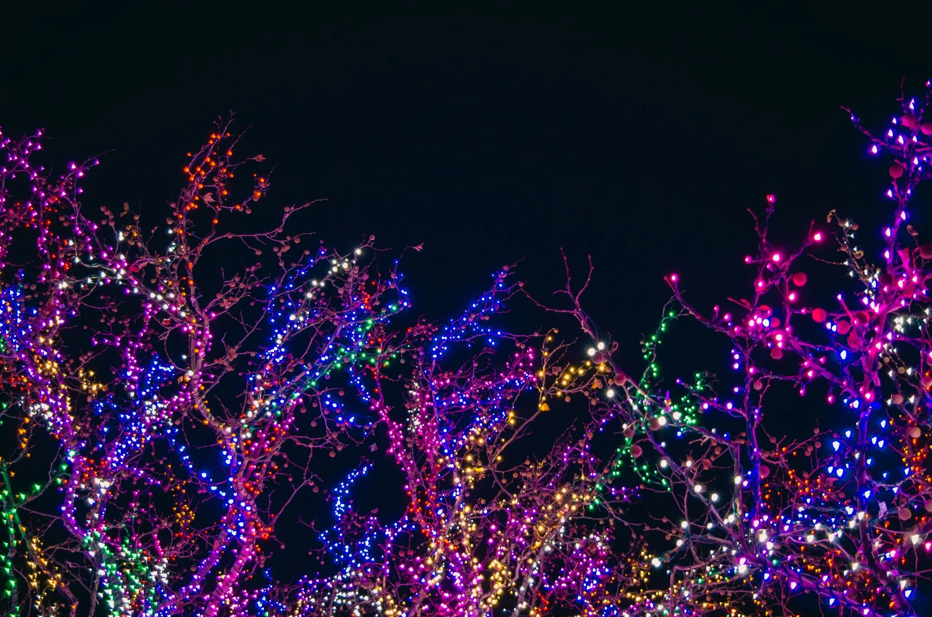 Borshch Time (12 December) — Christmas Special at Downing Place United Reformed Church