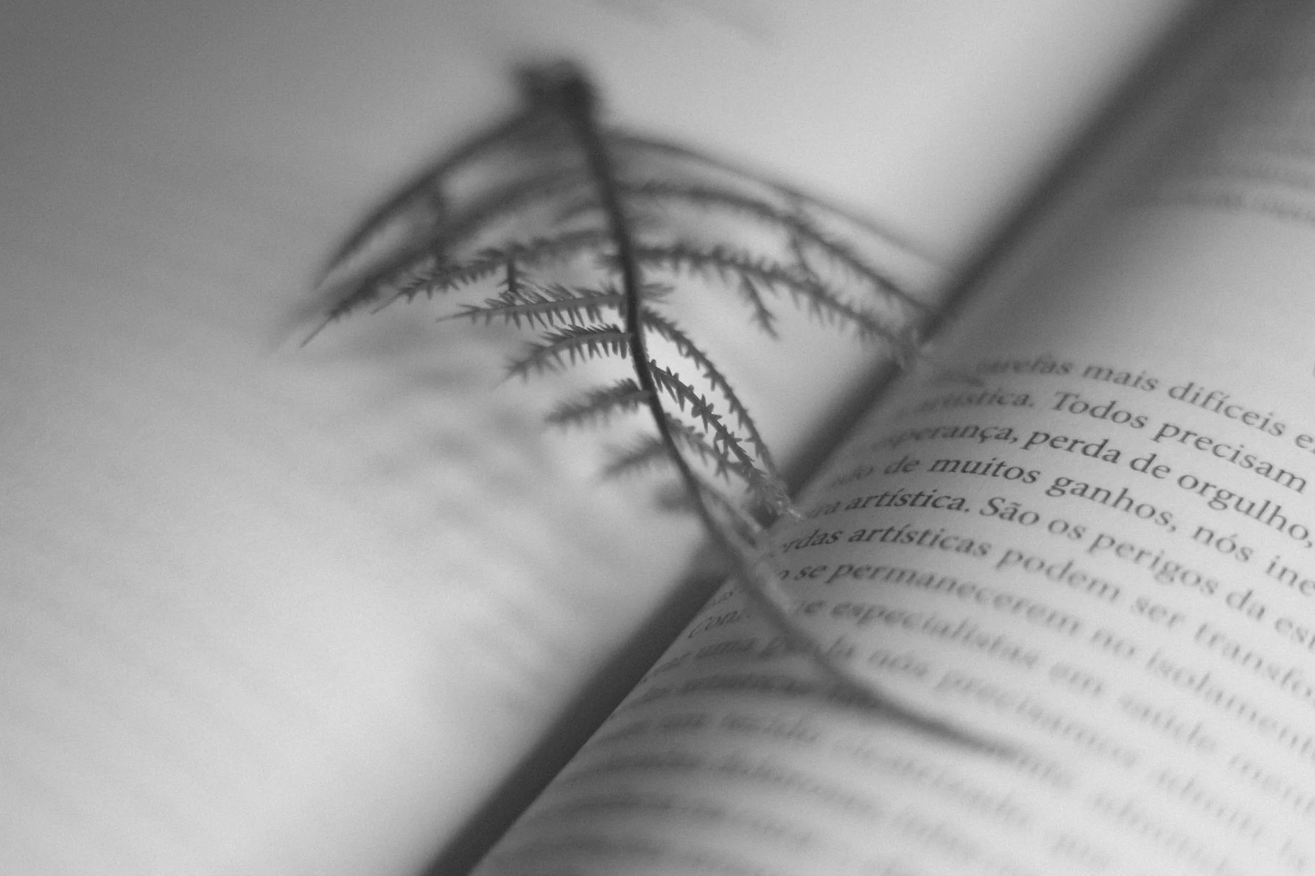 Real Animals, Remarkable Tales