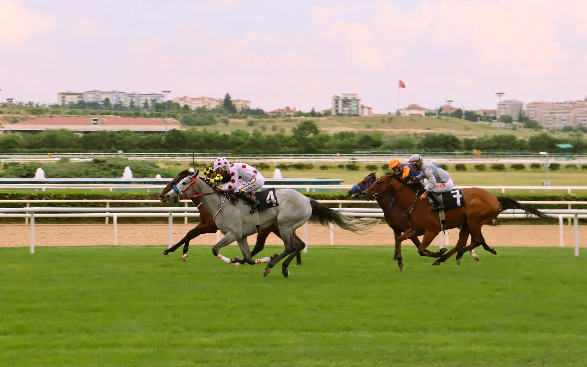 Thursday Afternoon Flat Racing at Bath Racecourse at Bath