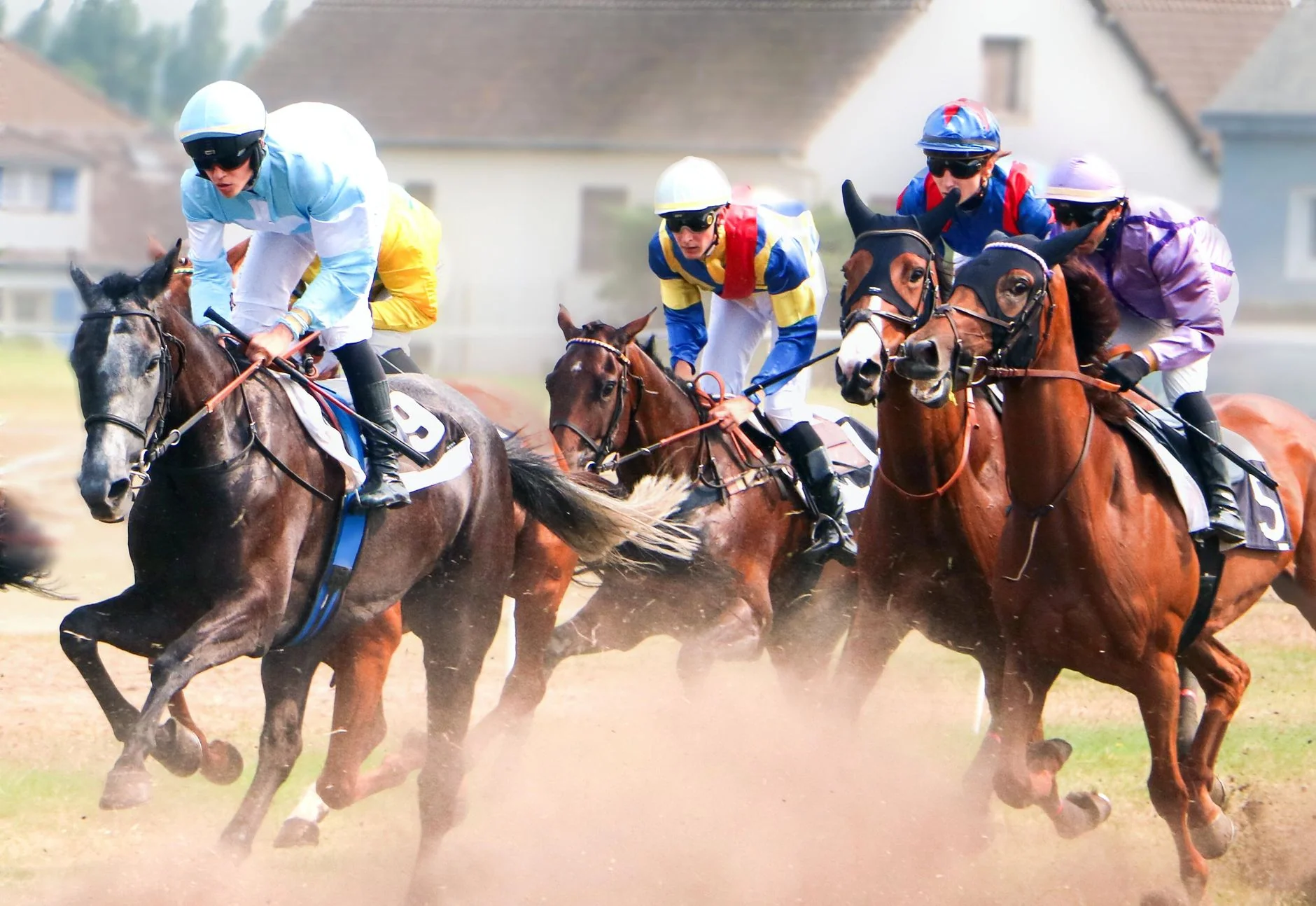 Winter Afternoon Racing - Lingfield Park Racecourse at Lingfield Park Racecourse