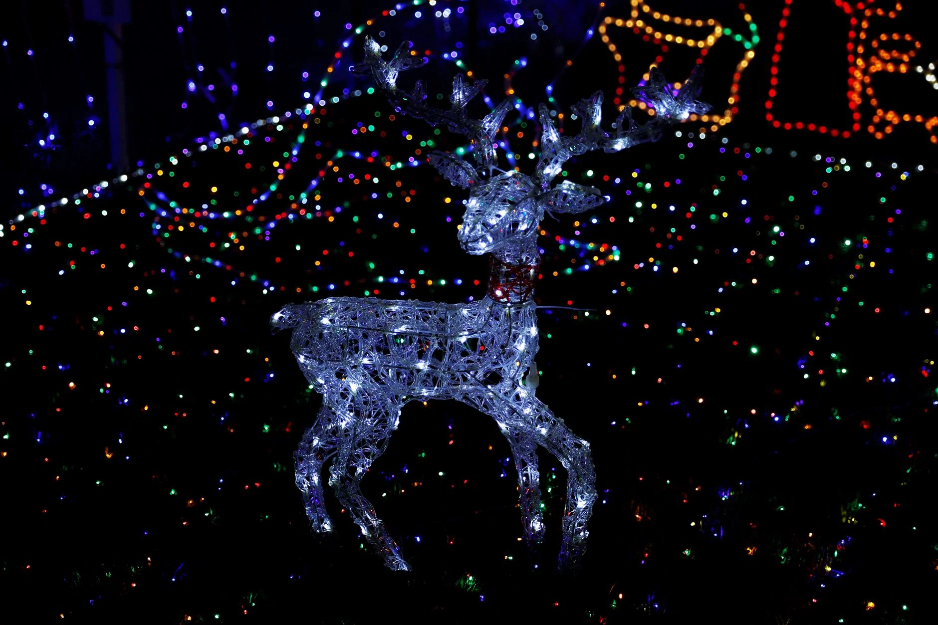 Christmas Shows at The Bierkeller 2026π at The Bierkeller Birmingham
