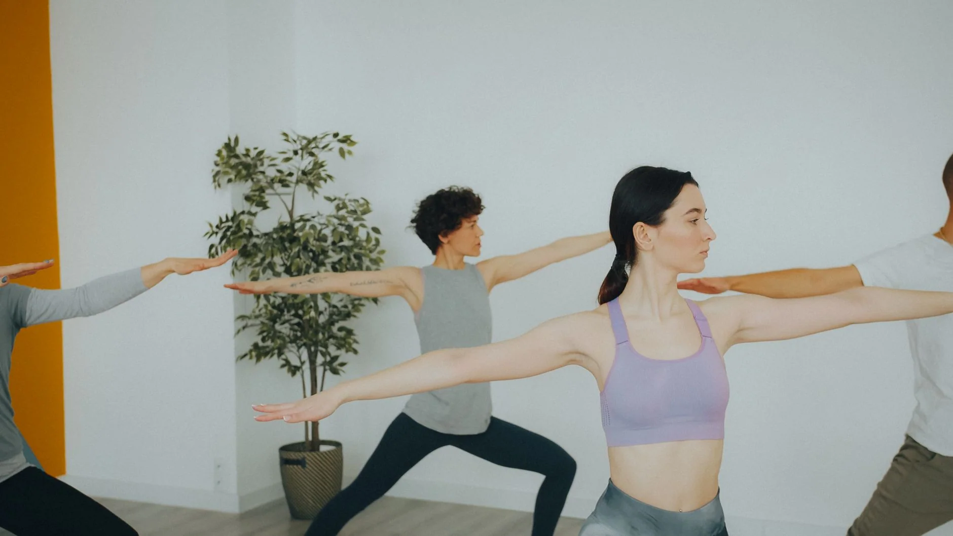 TAI CHI - In Person classes at Vision Fitness Gym Studio