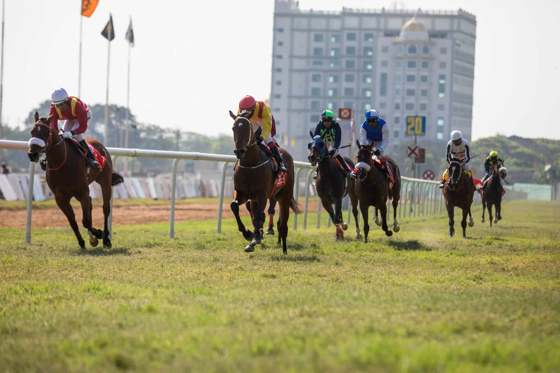 Spring Evening Racing - Southwell Racecourse at Southwell Racecourse