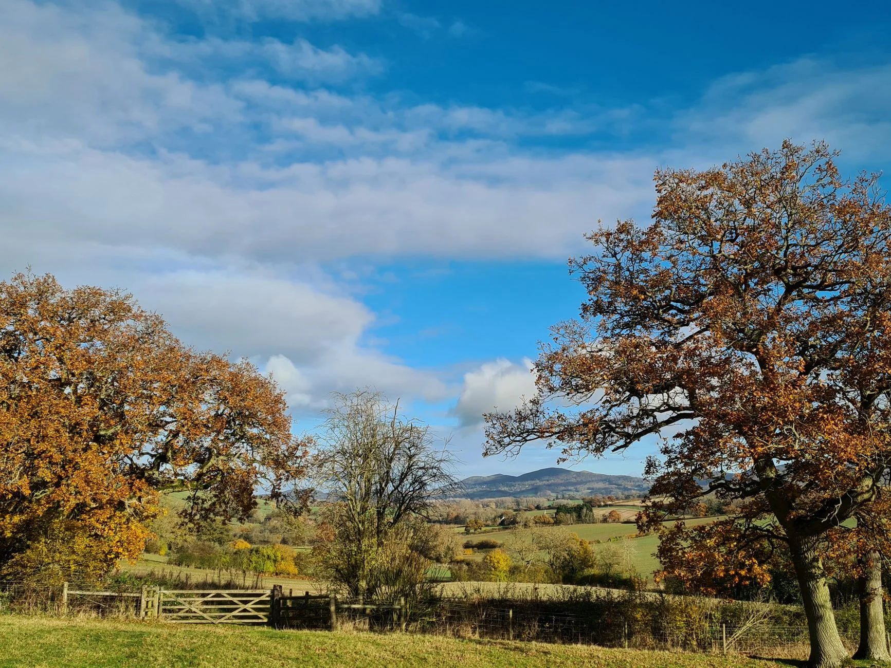 Lees health walks at Lees Library Community Hub