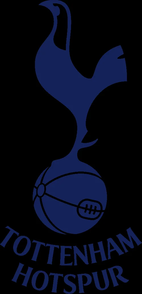Tottenham Hotspur vs Aston Villa at Tottenham Hotspur Stadium