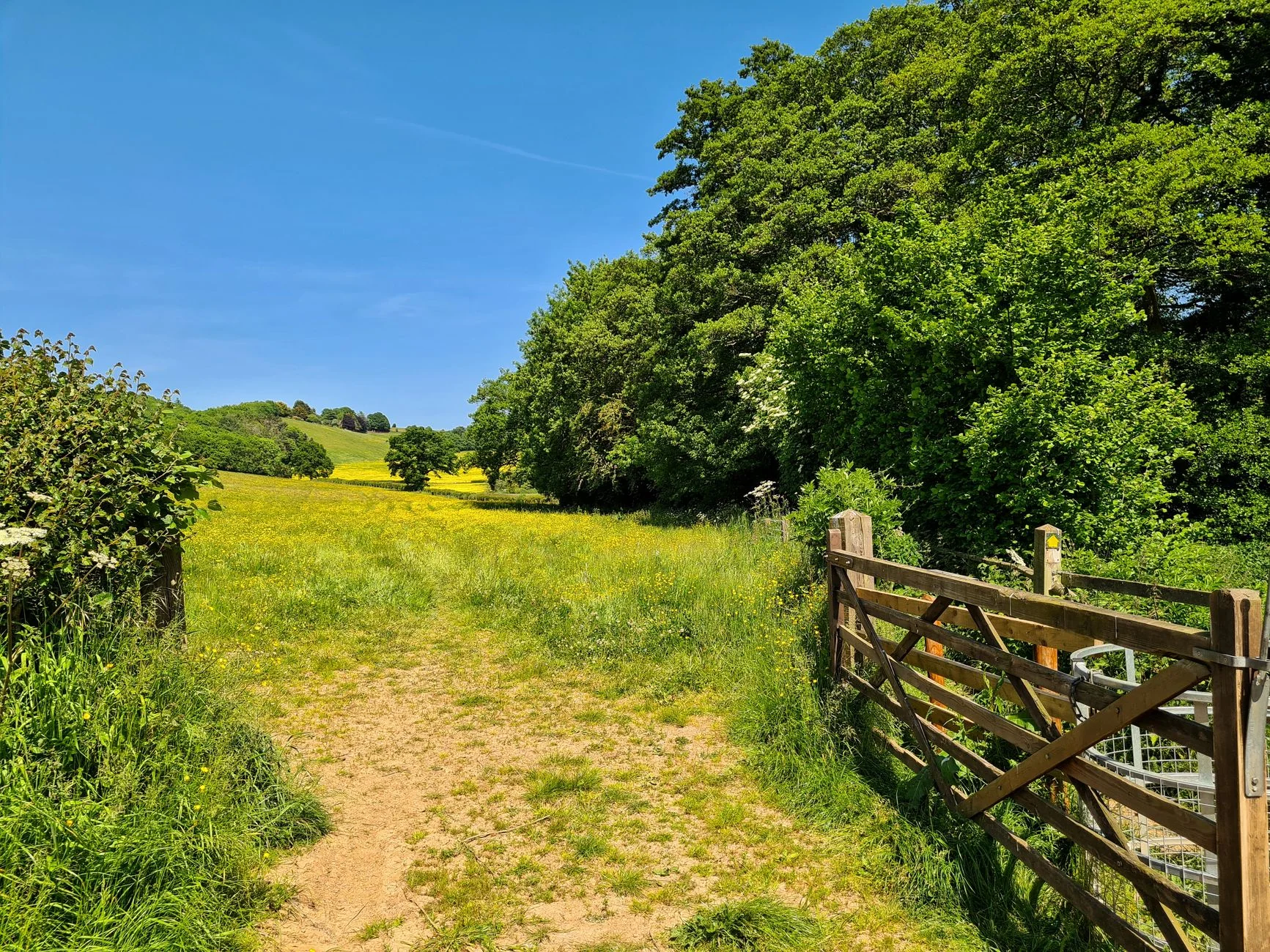 Sunday 3 Mile Walkabout at Clumber Park