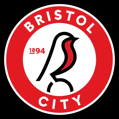 Bristol City vs Watford at Ashton Gate Stadium