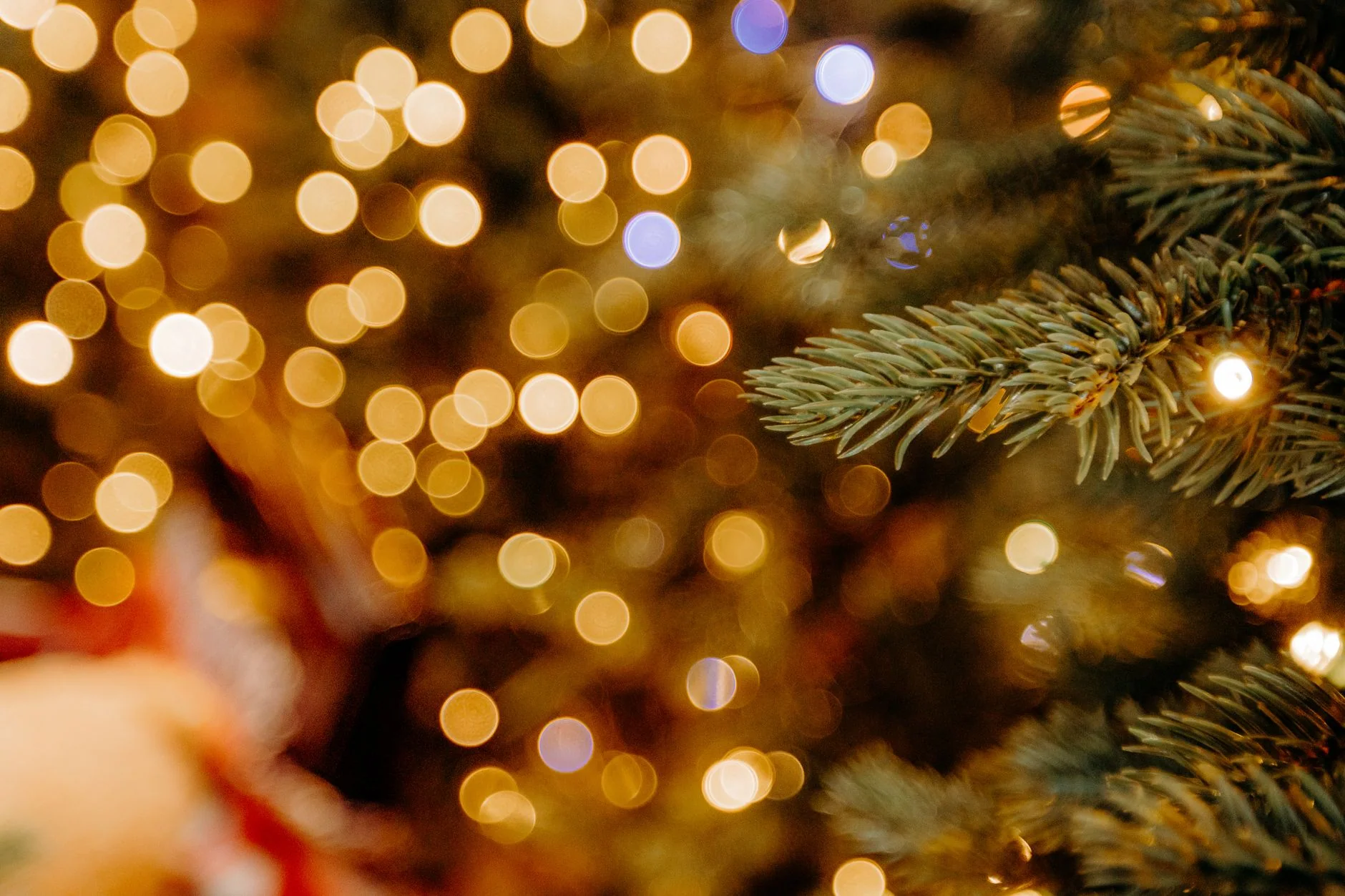 NOTTINGHAM'S 12 PUBS OF CHRISTMAS at Nottingham Venue, Nottingham