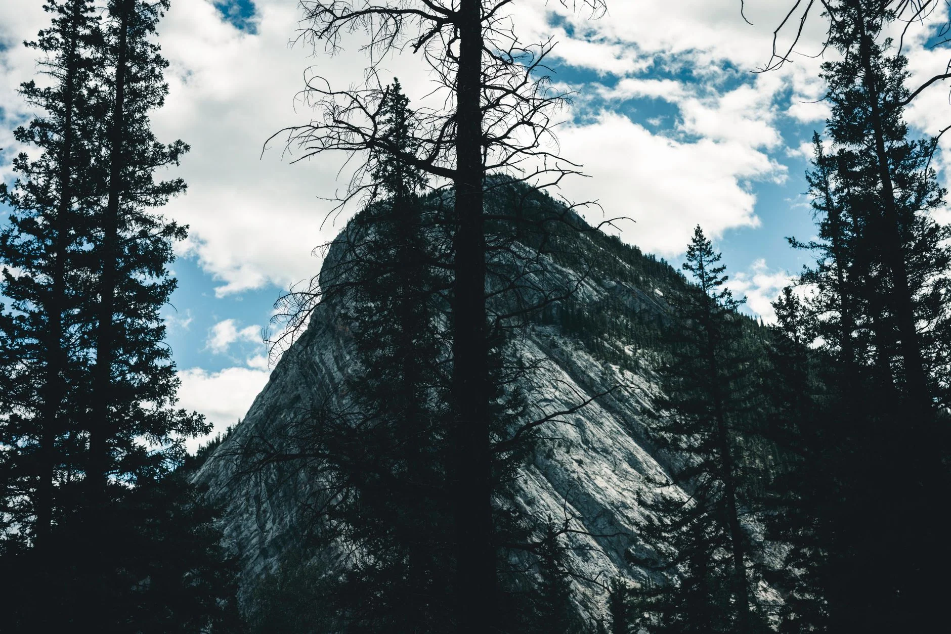 Adventurous walk -St. Anne's Scavenger Hunt π³