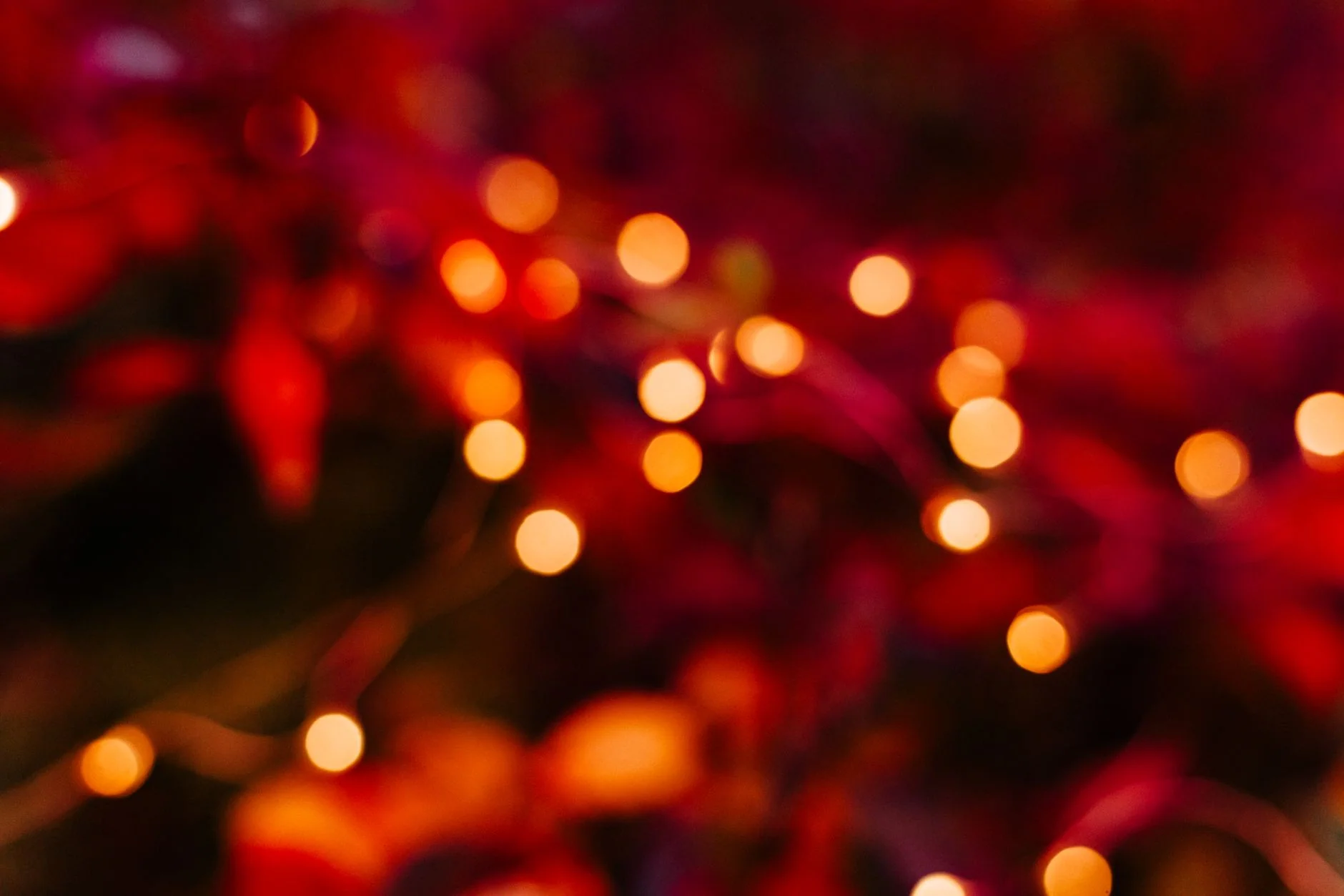 BIRMINGHAM'S 12 PUBS OF CHRISTMAS at Birmingham Venue, Birmingham