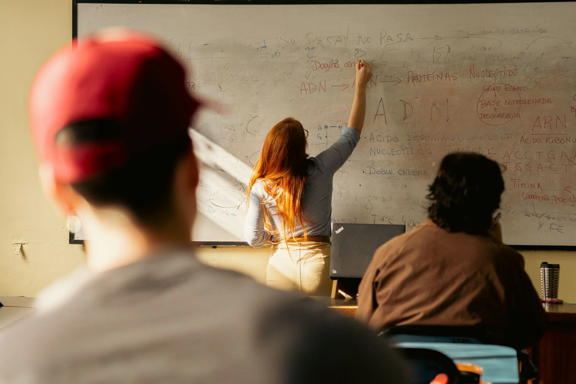 The Bible Course