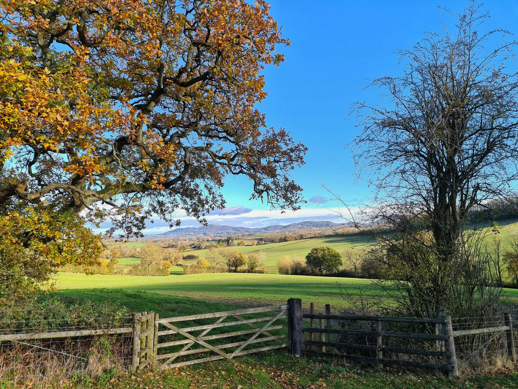 October Half Term: Halloween at the Hall