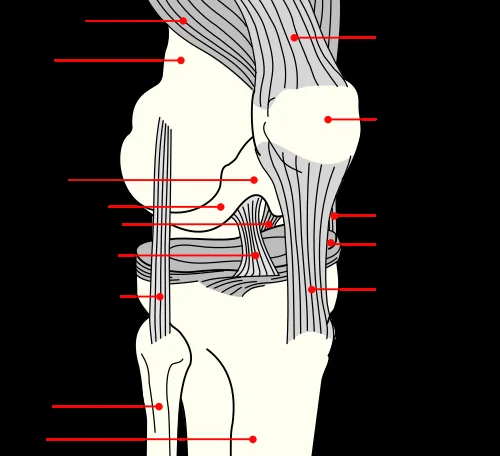 Kneecap at Swansea Building Society Arena