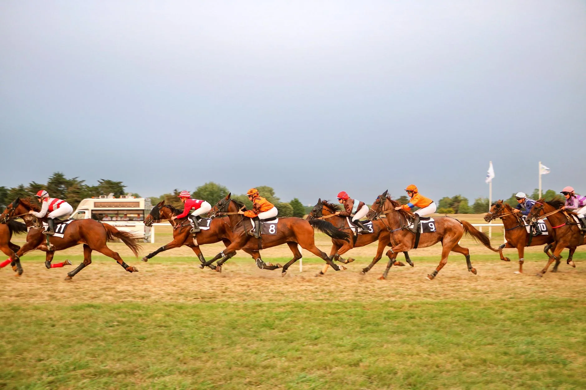 Autumn Floodlit Racing - Southwell Racecourse at Southwell Racecourse
