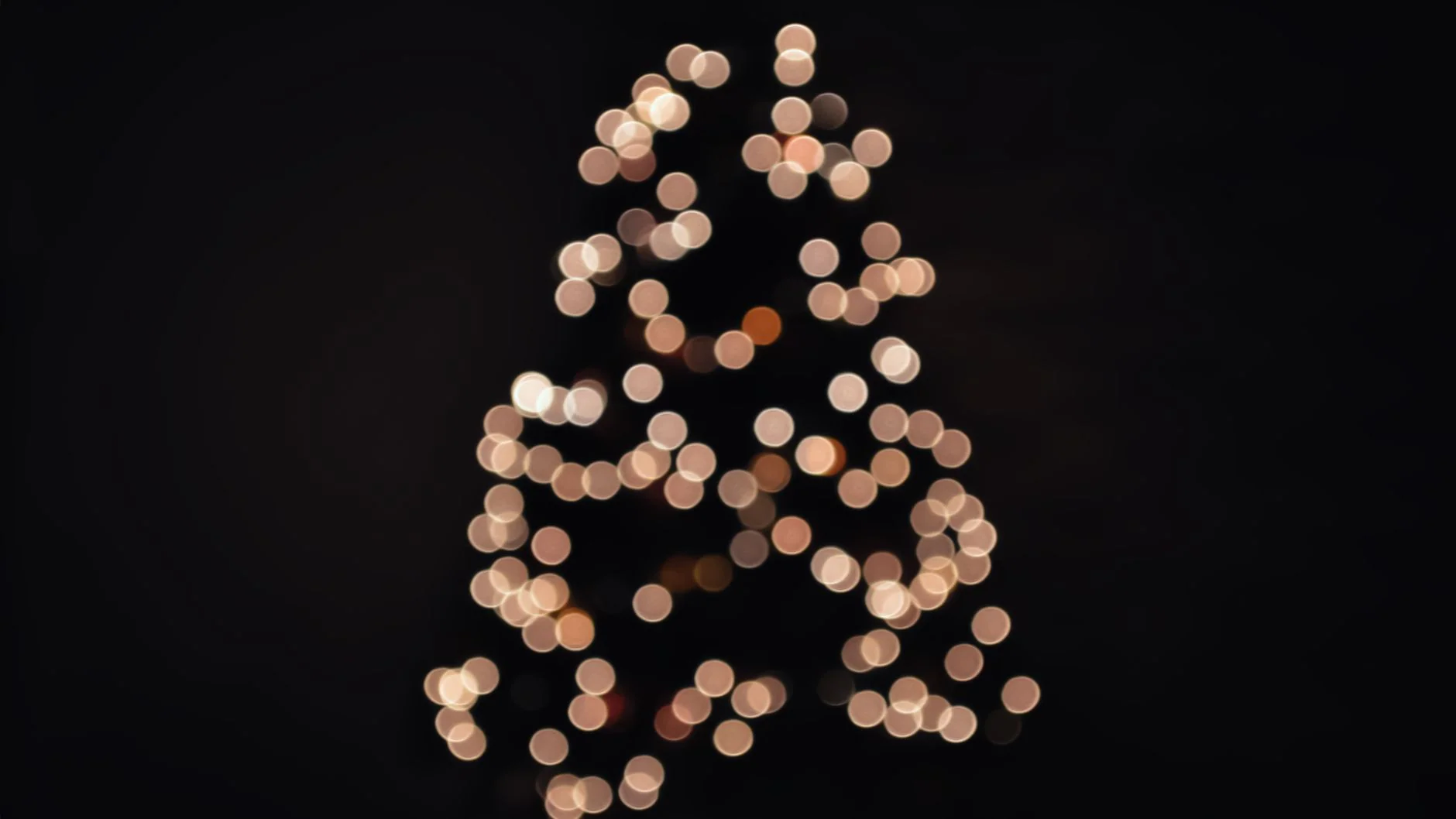 Jody & The Jerms Christmas Shindig