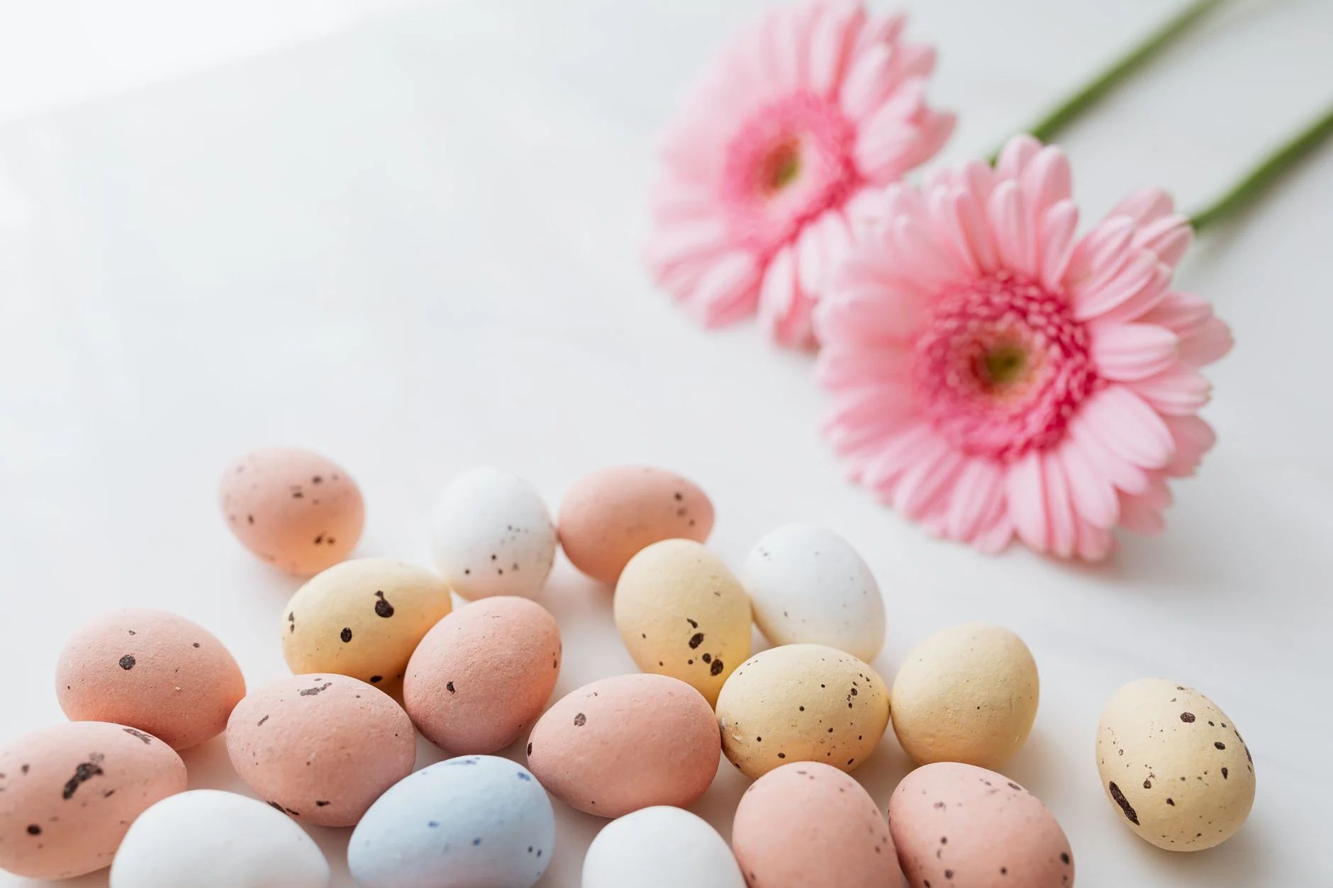 Easter EGGspress at EMSR Adventure Park