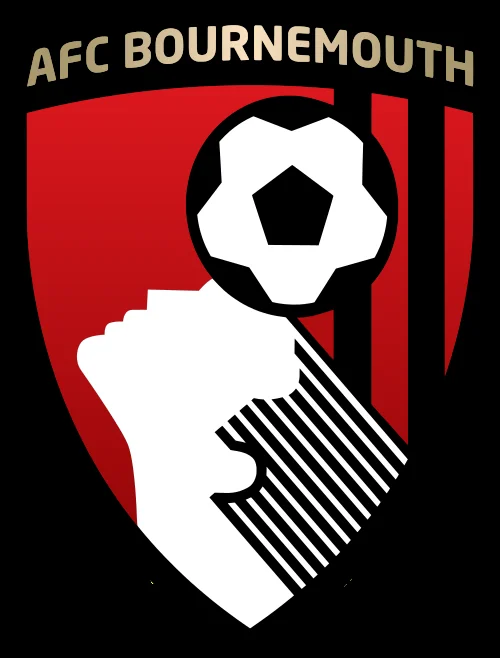 AFC Bournemouth vs Crystal Palace FC at Vitality Stadium