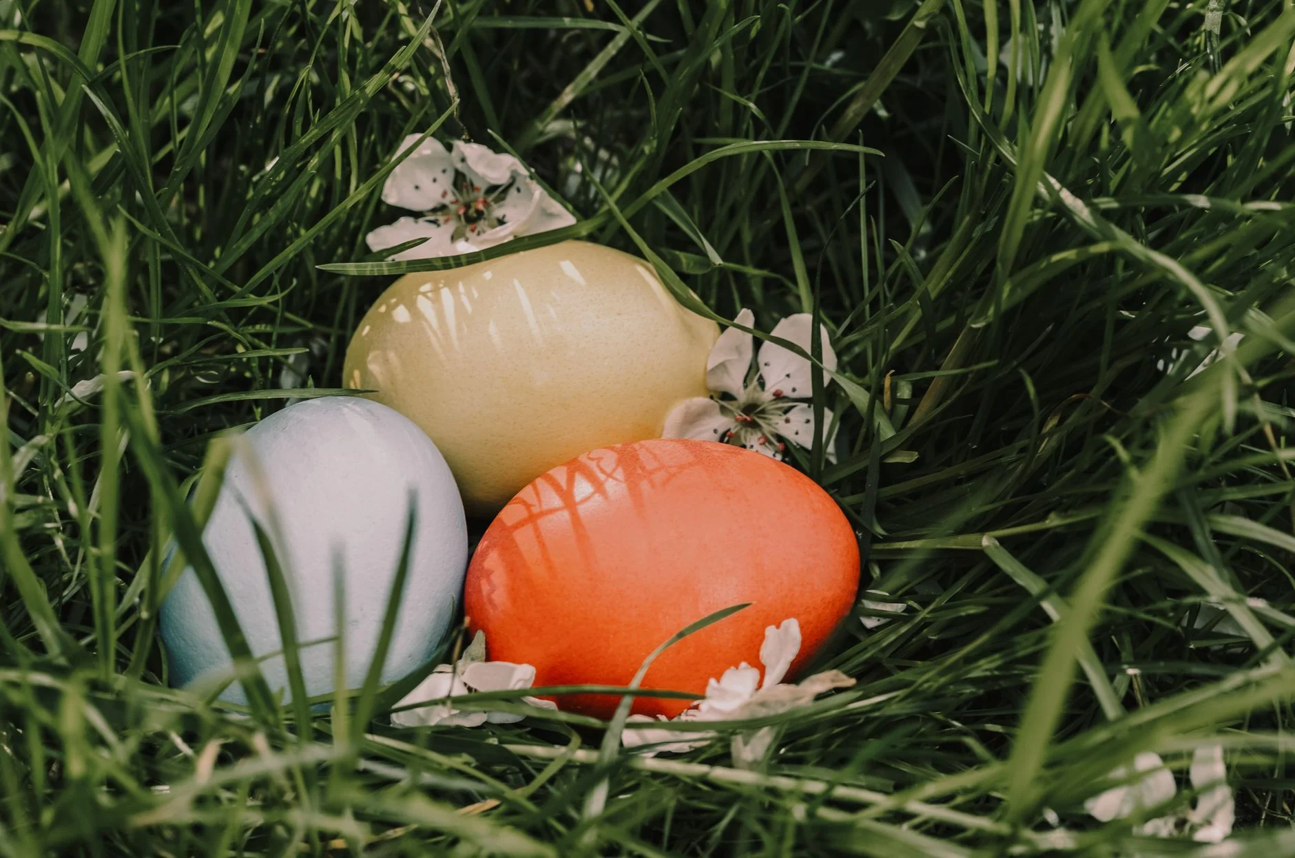 HOLIDAY: Easter Holidays Y7, Y8, Y9, Y10, Y11, Y12, Y13 at John Taylor High School