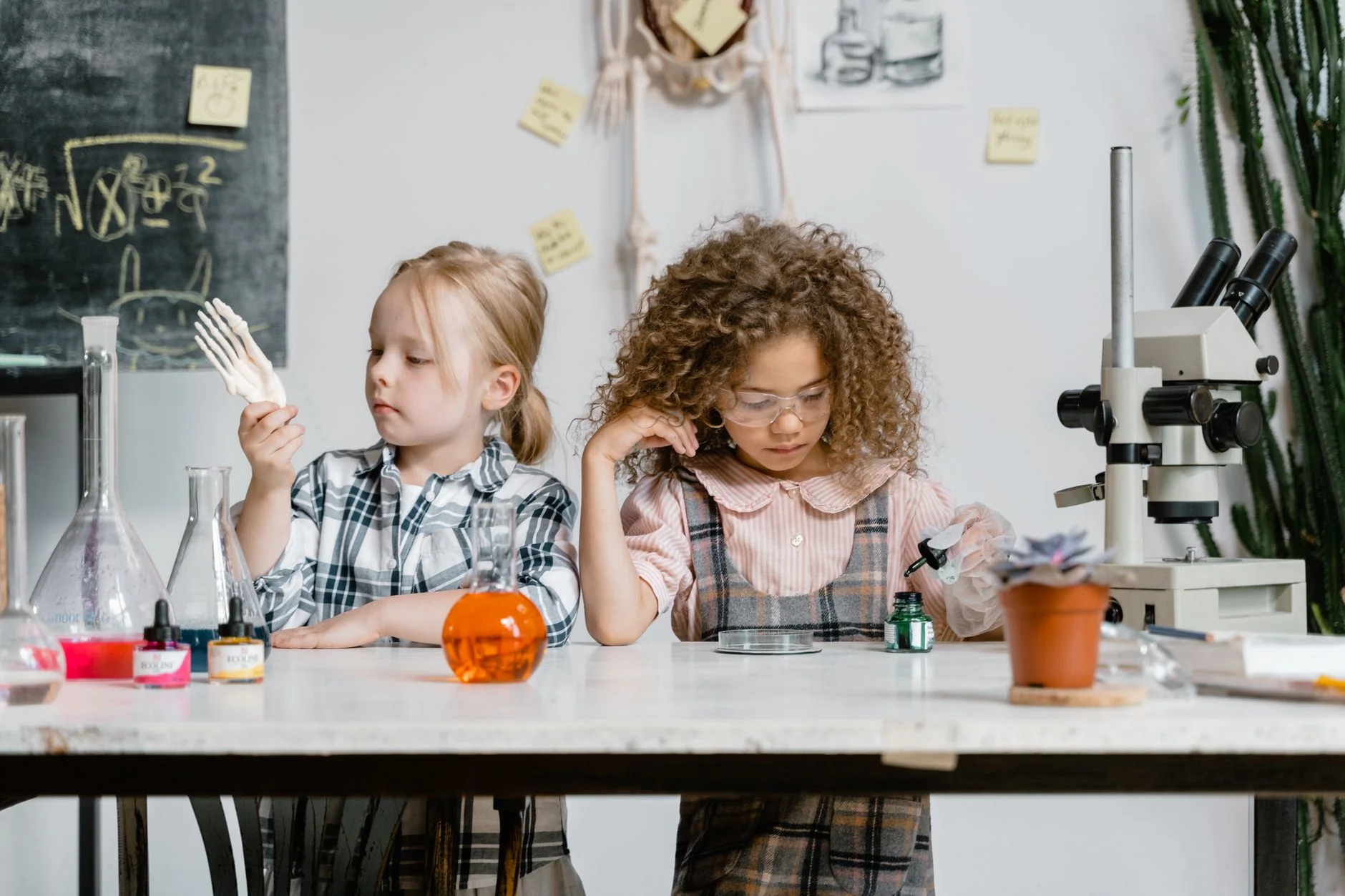 Cabinets Unlocked: Sensory Explorers at Ham House and Garden