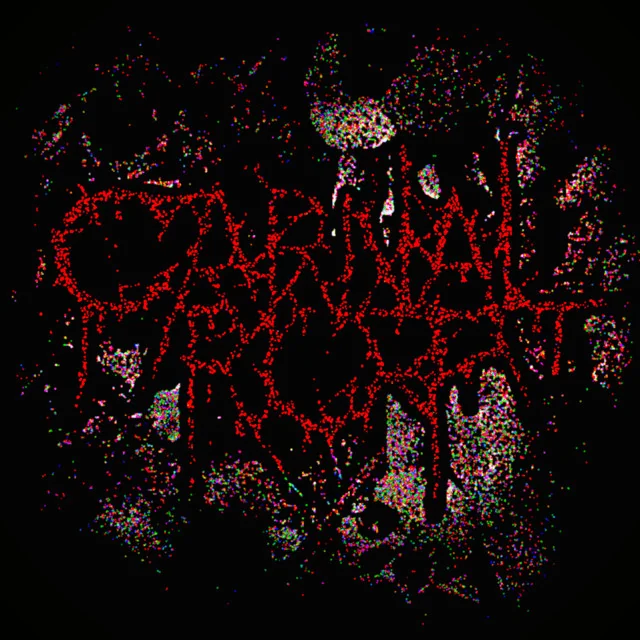 Carnal Rot @ Future Yard at Future Yard