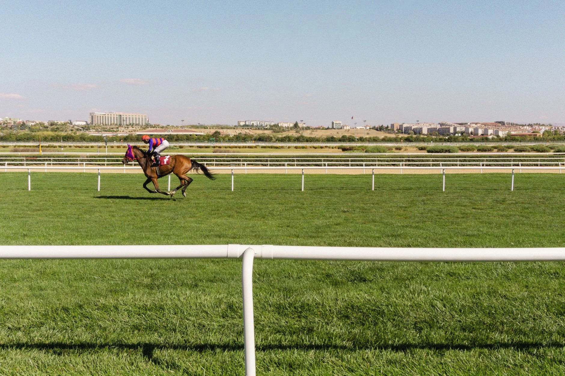 Winter Floodlit Racing - Newcastle Racecourse at Newcastle Racecourse