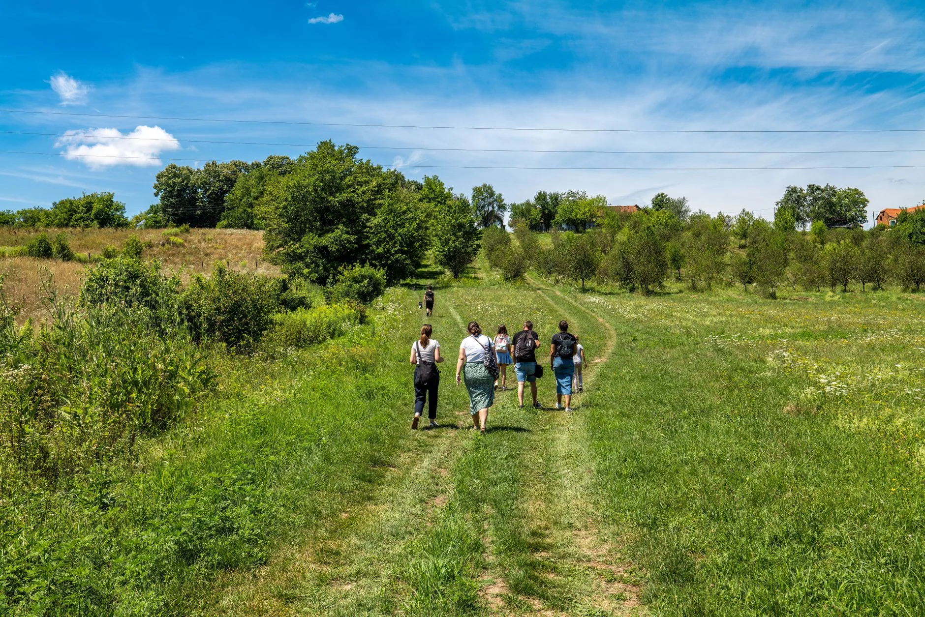 Guided Tours of Shute Barton, 6 & 7 October 2026 at Shute Barton