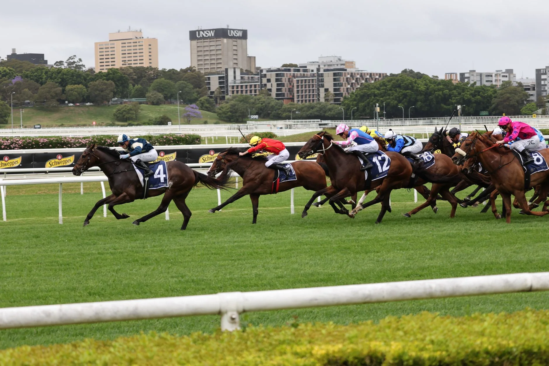 Winter Afternoon Racing - Newcastle Racecourse at Newcastle Racecourse