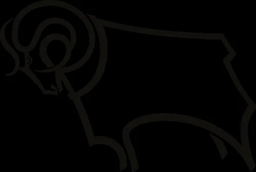 Derby County FC vs Wrexham AFC at iPro Stadium