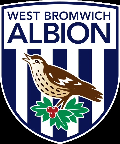 West Bromwich Albion FC vs Birmingham City FC at The Hawthorns