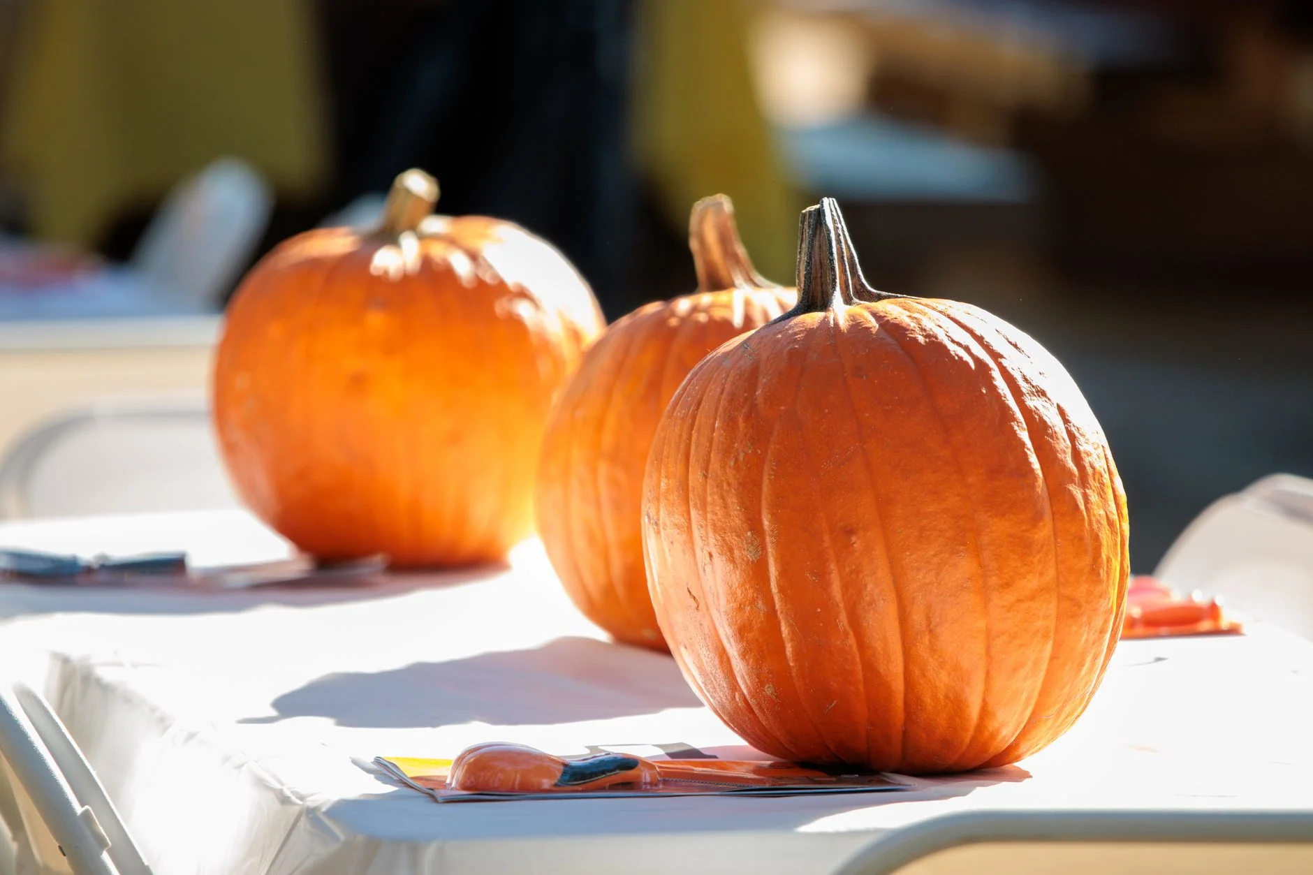 Boneyard's Halloween Bonanza at The Grove