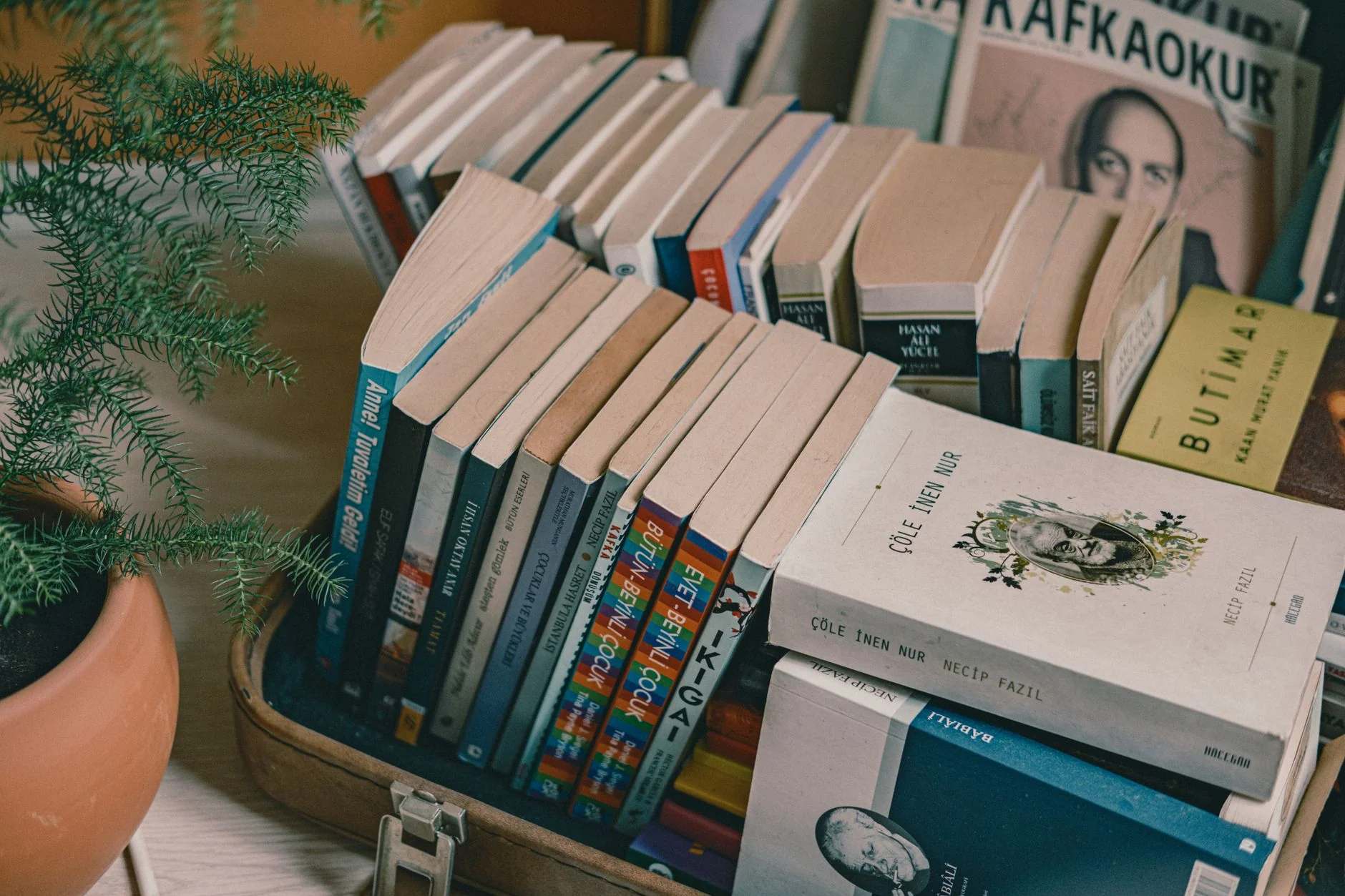 The Global Stories Book Club with Laviya Cooke – October