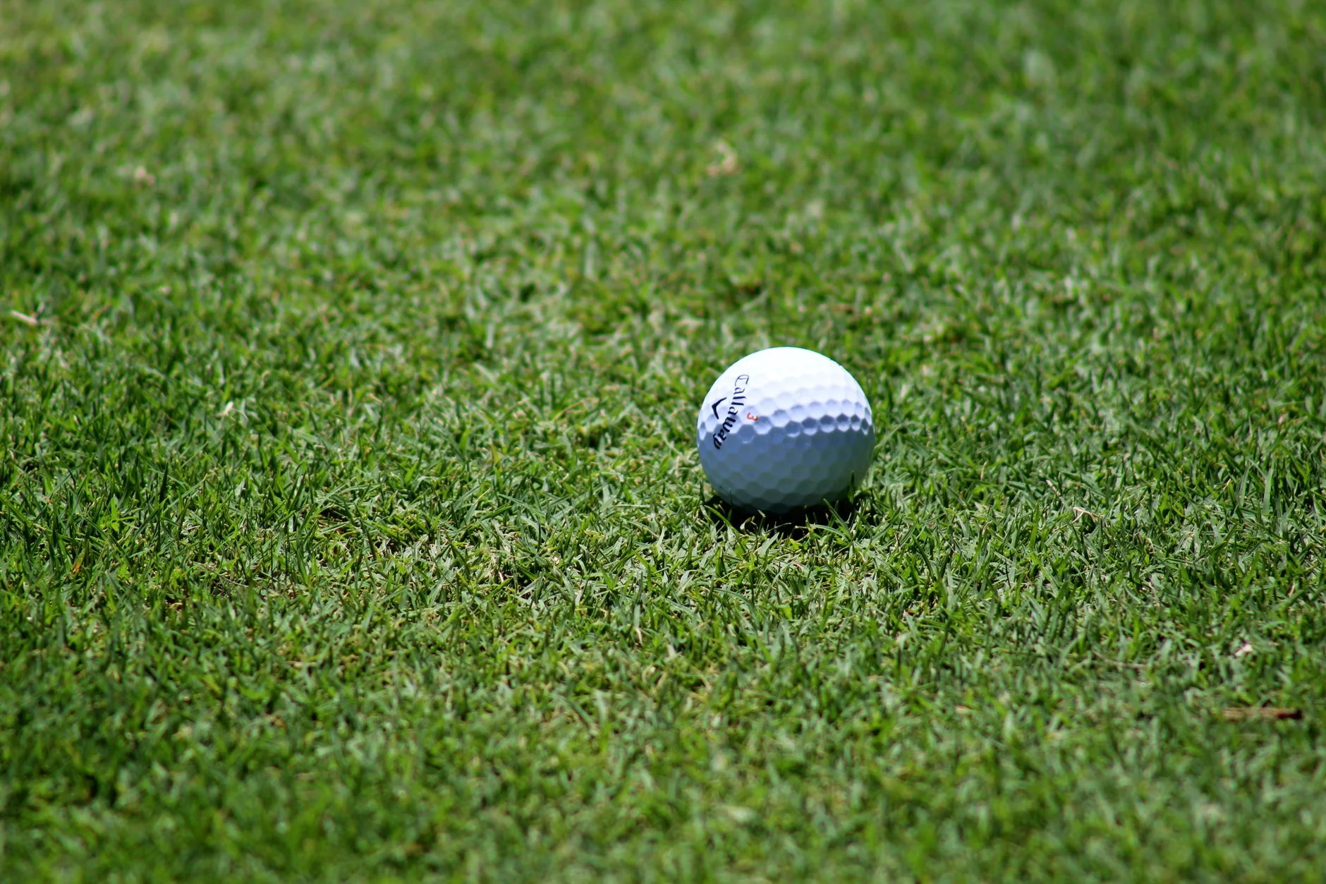 Mechanics & Turf Technicians Education day