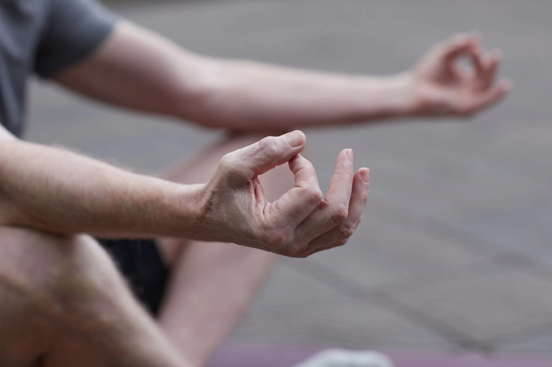 Tai Chi in the Woods (September to October 2026)