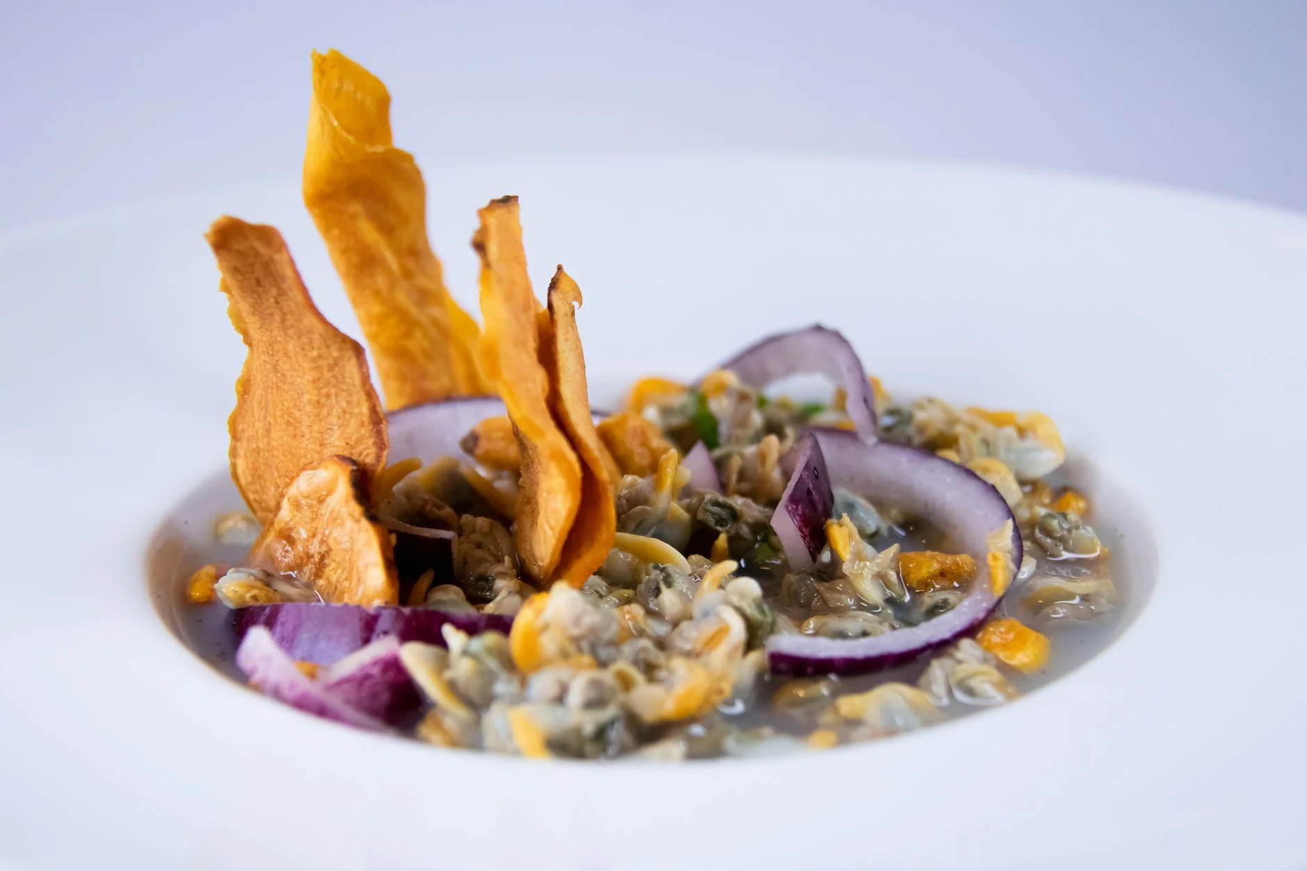 Satyrio Autumn / Winter Tasting Dinner with Tommasi Wines