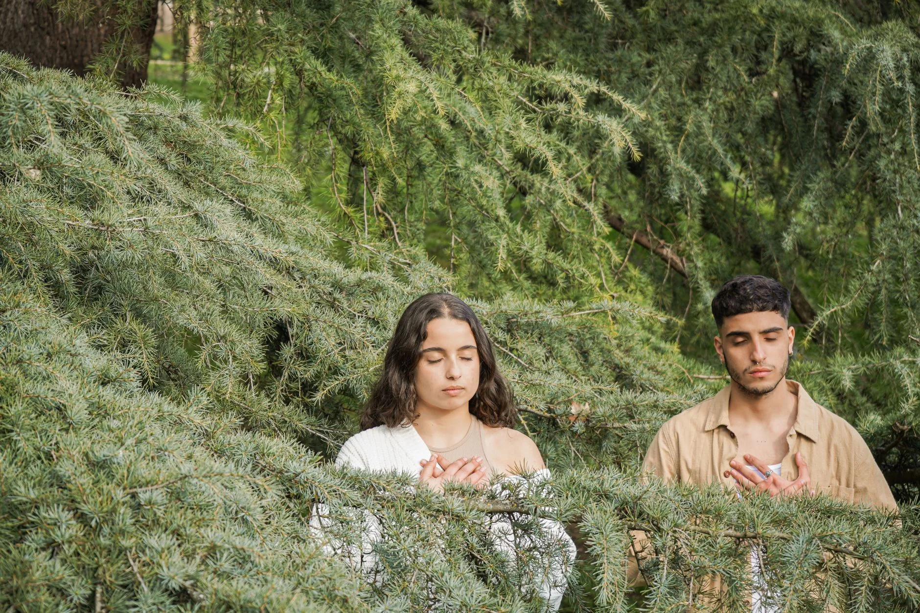 Central London Sahaja Meditation. Free Course. at The Fry Room, Westminster Quaker's Meeting House
