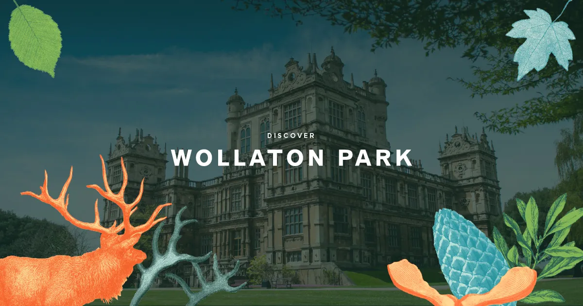 Wollaton Hall photo 1