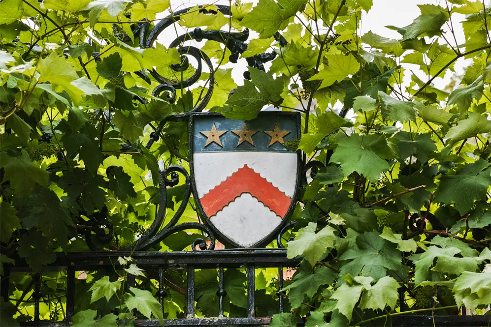 The H B Allen Centre photo 1
