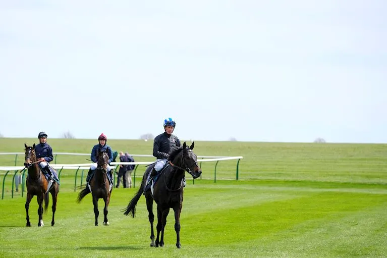 Newmarket Racecourses photo 1
